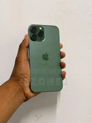Apple iPhone 13 Pro Max (Used)
