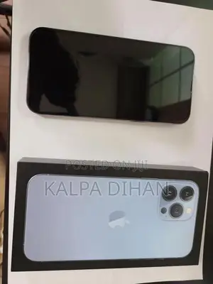 Apple iPhone 13 Pro Max (Used)