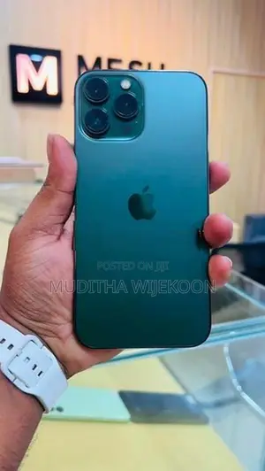 Apple iPhone 13 Pro Max (Used)