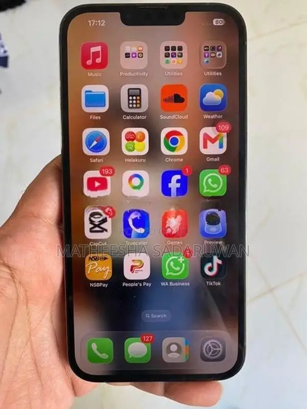 Apple iPhone 13 Pro Max (Used)