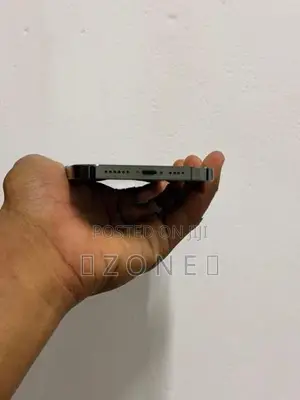 Apple iPhone 13 Pro Max (Used)