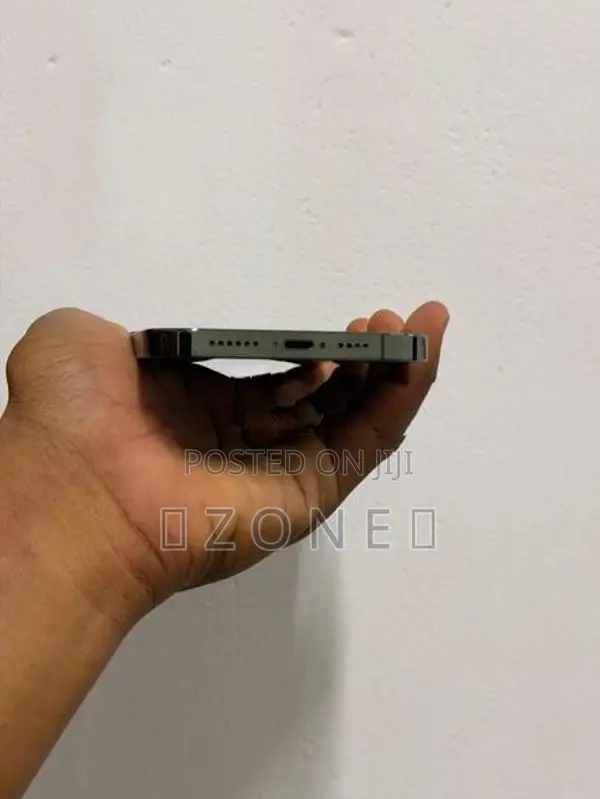 Apple iPhone 13 Pro Max (Used)
