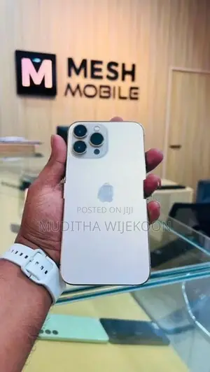 Apple iPhone 13 Pro Max (Used)