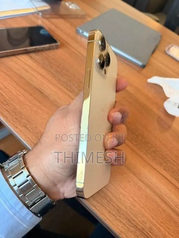 Apple iPhone 13 Pro Max 256GB (Used)