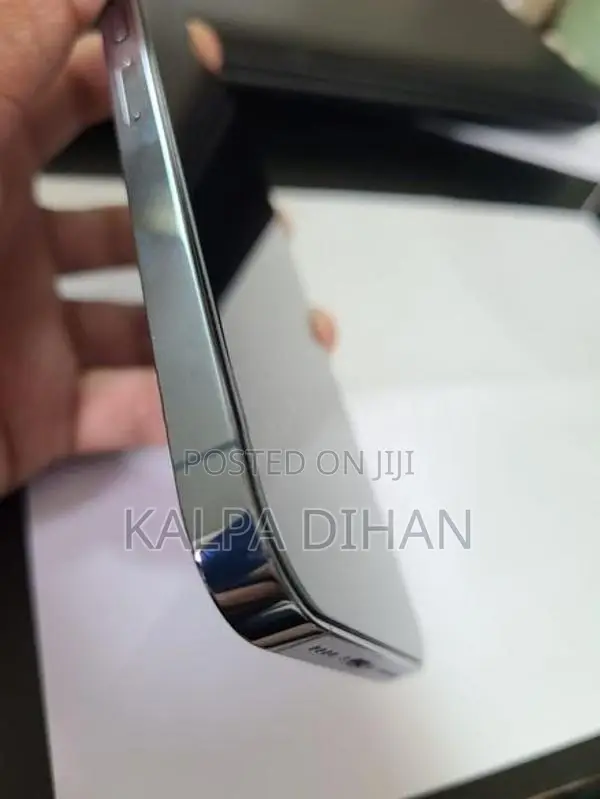 Apple iPhone 13 Pro Max (Used)