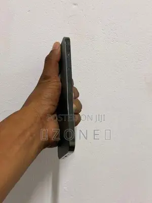 Apple iPhone 13 Pro Max (Used)