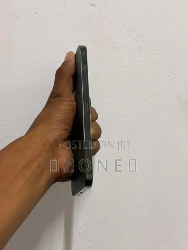 Apple iPhone 13 Pro Max (Used)