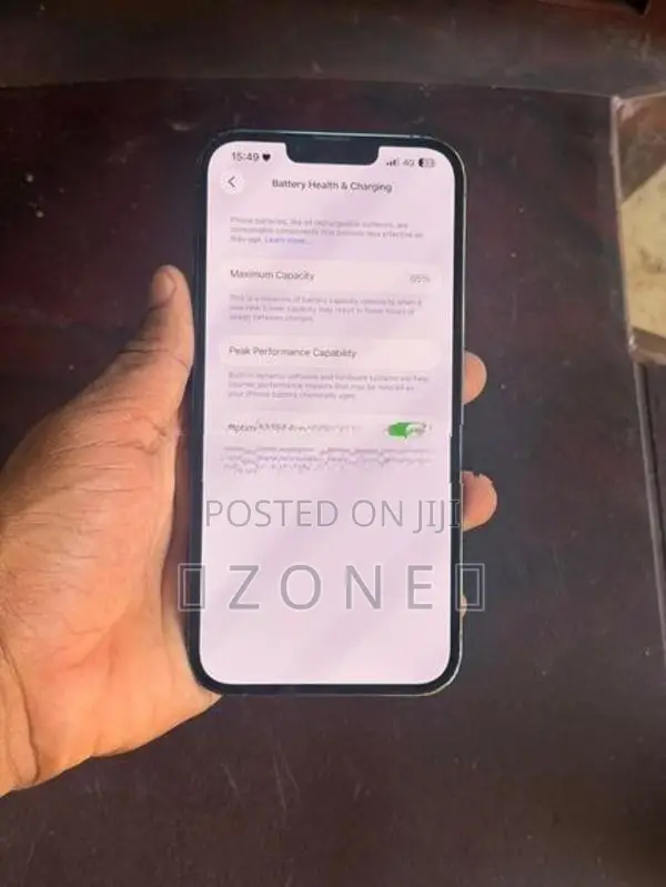 Apple iPhone 13 Pro Max (Used)