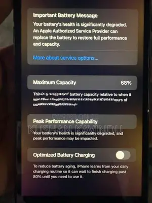 Apple iPhone 8 Plus (Used)