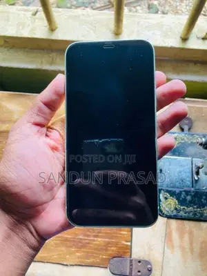 Apple iPhone 12 Pro (Used)
