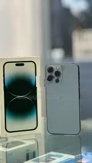 Apple iPhone 13 Pro Max (Used)