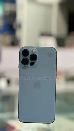 Apple iPhone 13 Pro Max (Used)