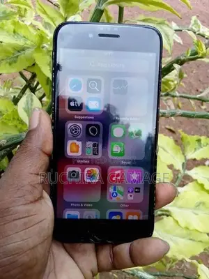 Apple iPhone 7 (Used)