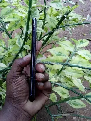 Apple iPhone 7 (Used)