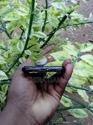 Apple iPhone 7 (Used)