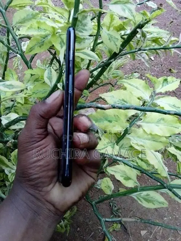 Apple iPhone 7 (Used)