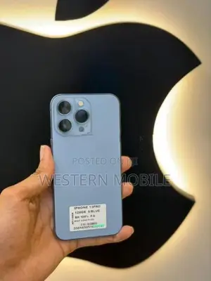 Apple iPhone 13 Pro (Used)