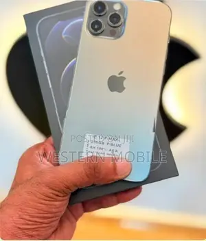Apple iPhone 12 Pro Max (Used)