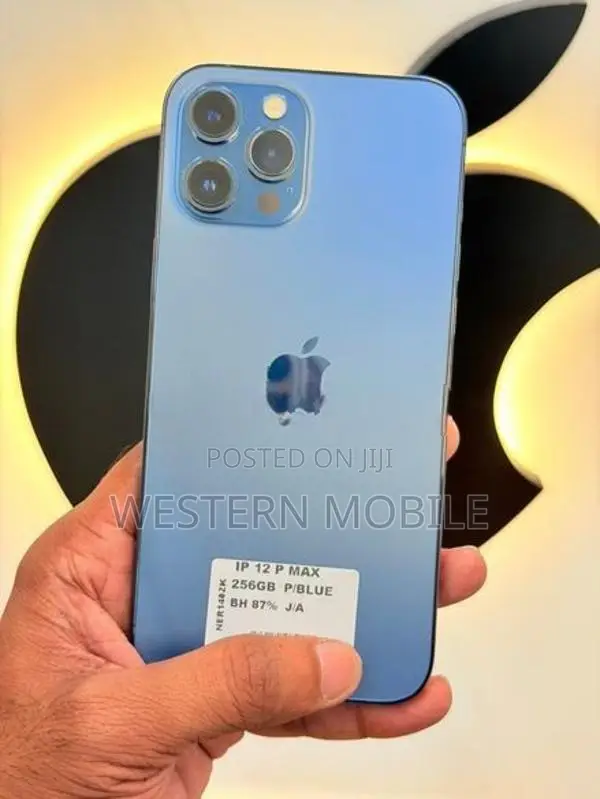 Apple iPhone 12 Pro Max (Used)