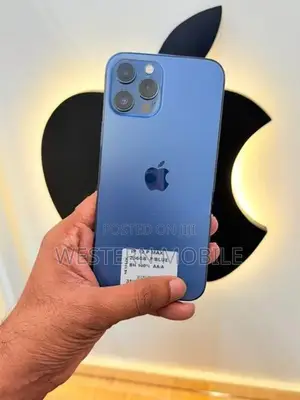 Apple iPhone 12 Pro Max (Used)