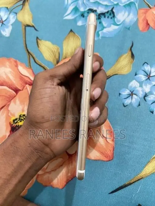 Apple iPhone 7 Plus (Used)