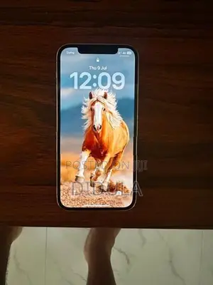 Apple iPhone 12 Pro (Used)