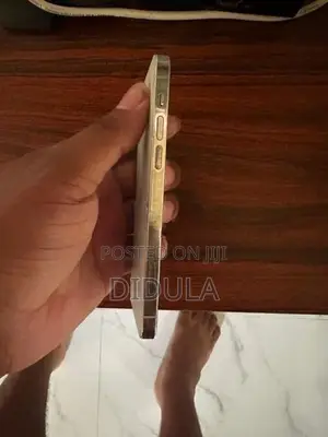Apple iPhone 12 Pro (Used)
