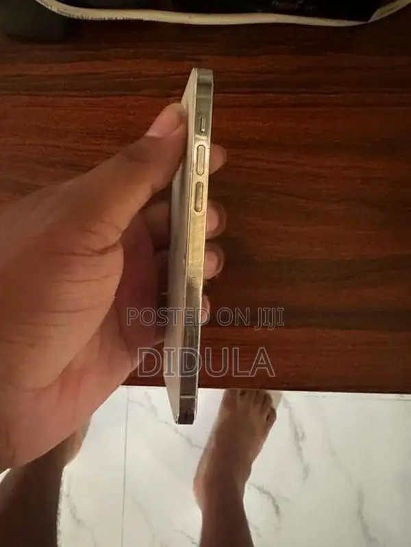 Apple iPhone 12 Pro (Used)