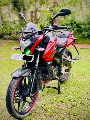 Bajaj Pulsar NS200 2017 Motorbike (Used)