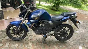 Yamaha FZ-S 2019 Motorbike (Used)
