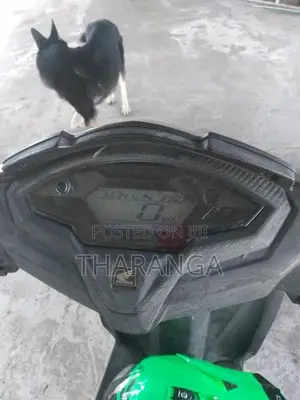 Honda Dio 2019 Motorbike (Used)