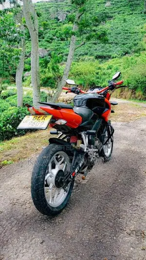 Bajaj Pulsar NS150 2016 Motorbike (Used)