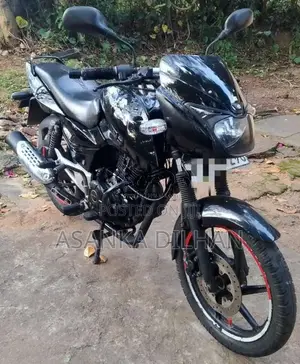 Bajaj Pulsar 150 2010 Motorbike (Used)