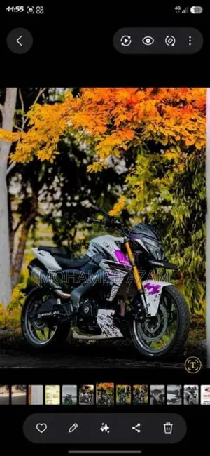 Bajaj Pulsar NS200 2025 Motorbike (Used)