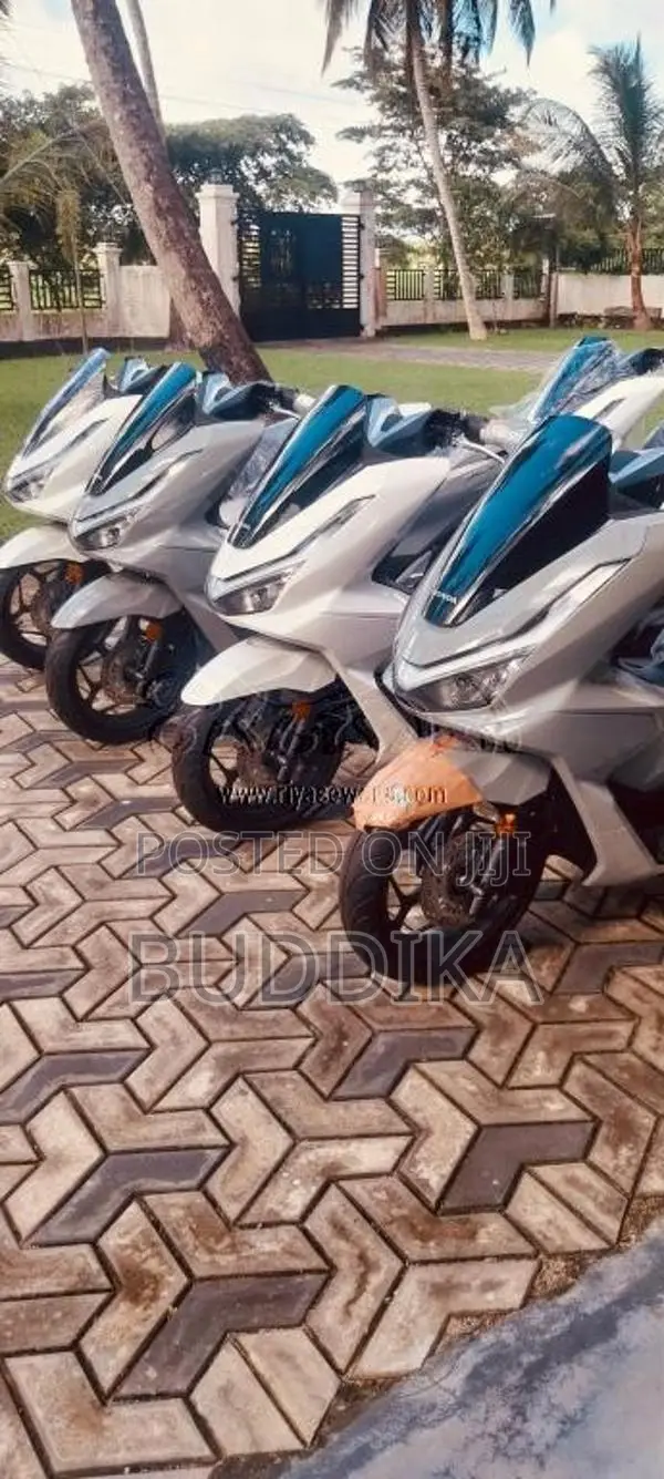 Honda Pcx 2025 Motorbike Brand New