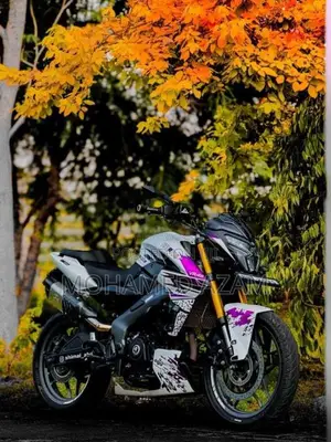 Bajaj Pulsar NS200 2025 Motorbike (Used)