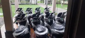 Honda Pcx 2025 Motorbike Brand New