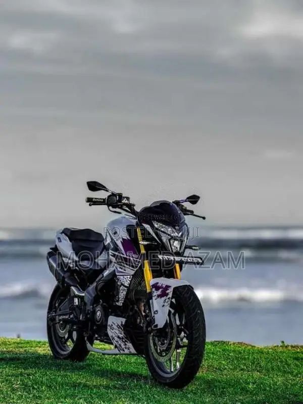Bajaj Pulsar NS200 2025 Motorbike (Used)