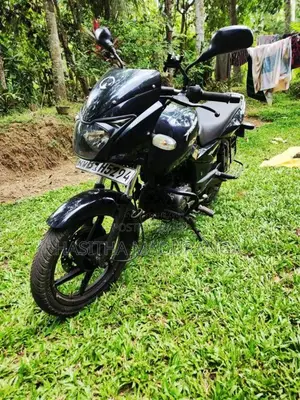 Bajaj Pulsar 150 2019 Motorbike (Used)
