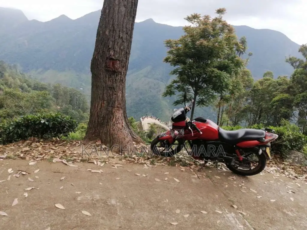TVS Apache 2012 Motorbike (Used)