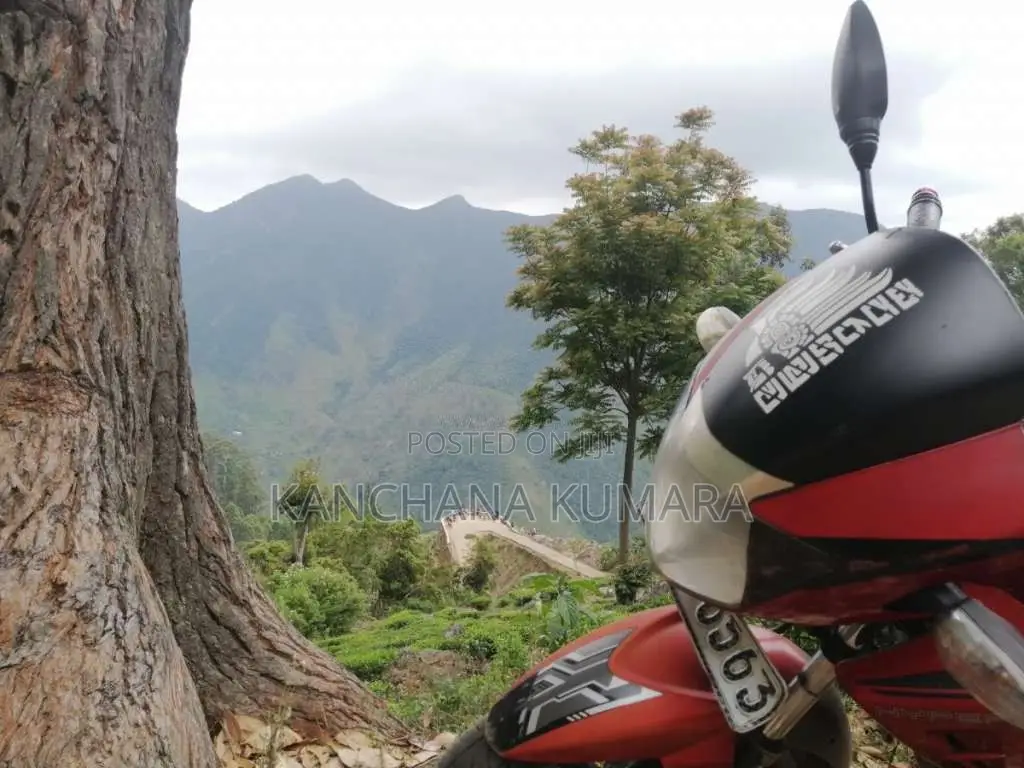 TVS Apache 2012 Motorbike (Used)