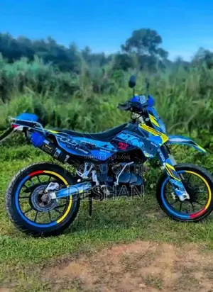 Demak Dtm 2017 Motorbike (Used)