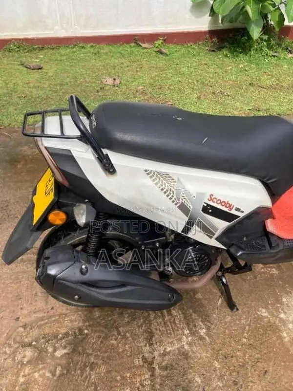 Dyno Scooby 2023 Motorbike (Used)