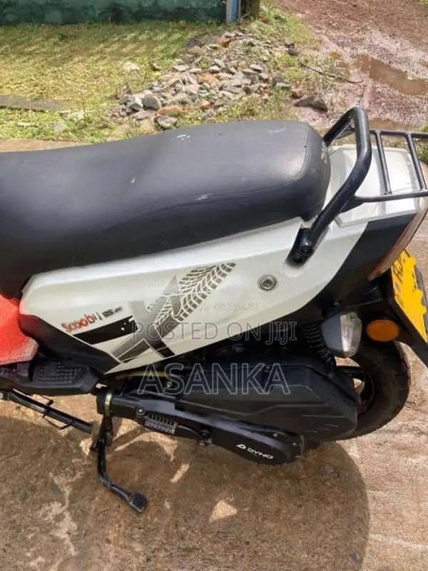Dyno Scooby 2023 Motorbike (Used)