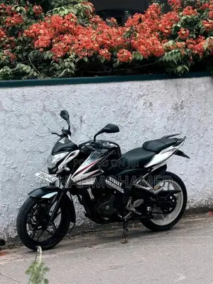 Bajaj Pulsar NS200 2014 Motorbike (Used)