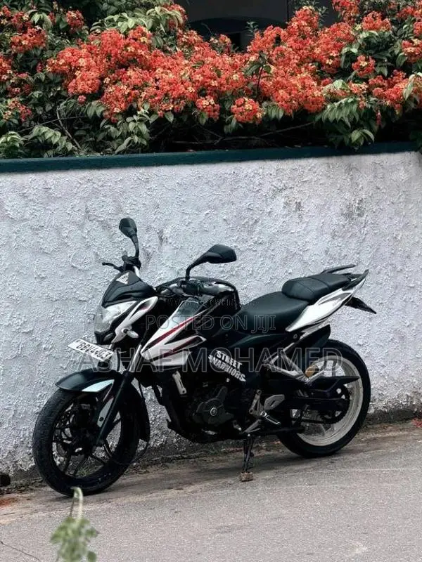 Bajaj Pulsar NS200 2014 Motorbike (Used)