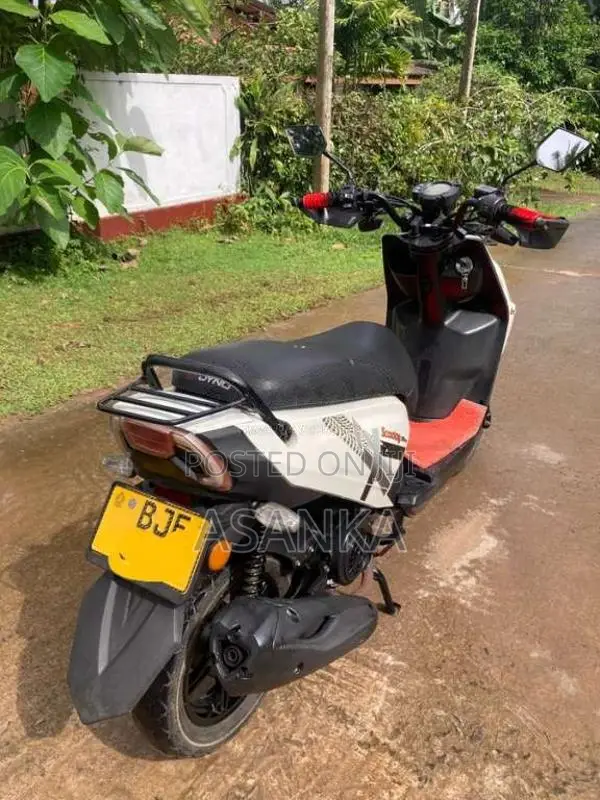 Dyno Scooby 2023 Motorbike (Used)