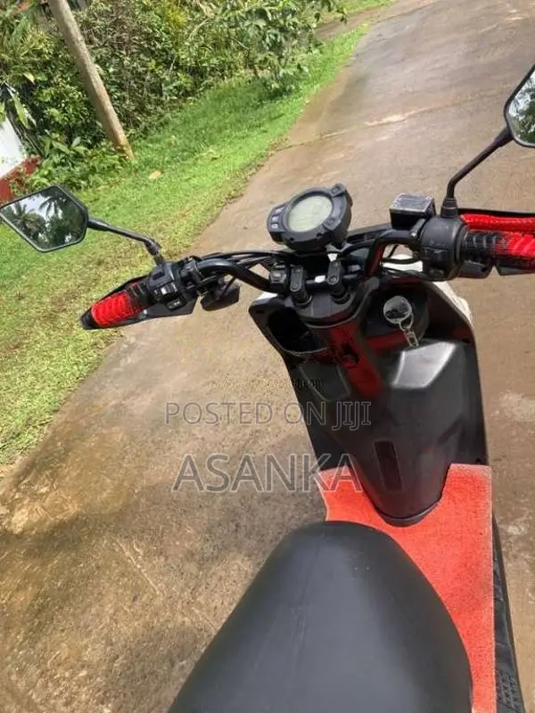 Dyno Scooby 2023 Motorbike (Used)
