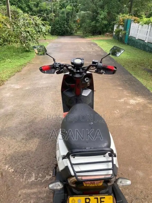 Dyno Scooby 2023 Motorbike (Used)