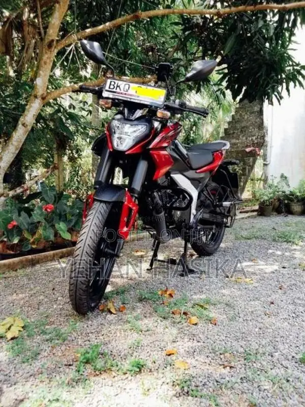 Bajaj Pulsar N125 2026 Motorbike (Used)